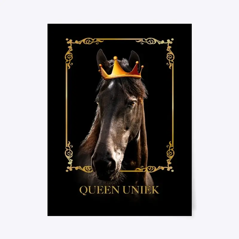 The Queen of Friesian Horses Homeware