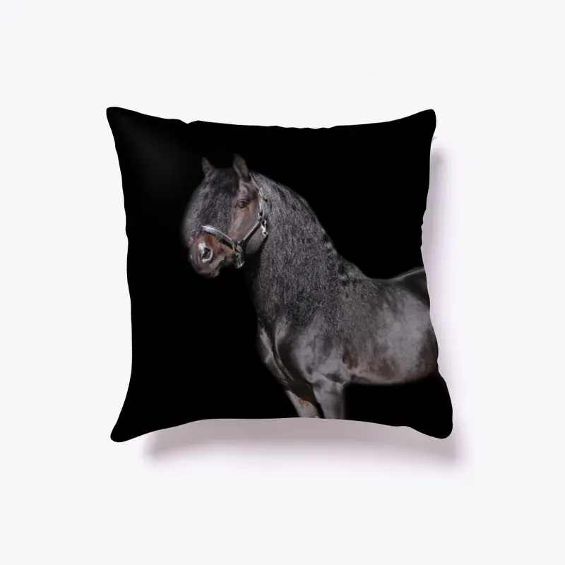 Johnny the fashion pony pillow